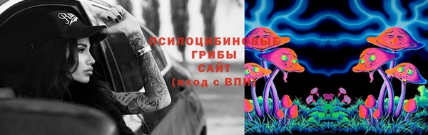 PSILOCYBIN Нягань