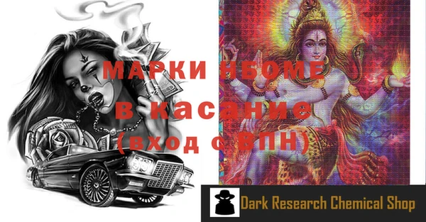 гидра Новозыбков