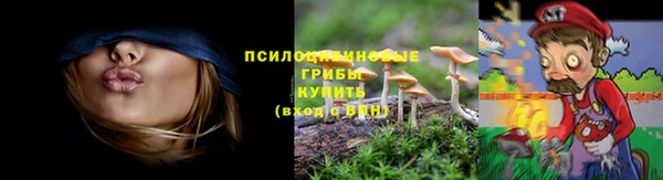 PSILOCYBIN Нягань