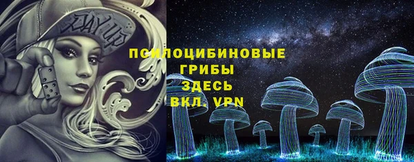 PSILOCYBIN Нягань