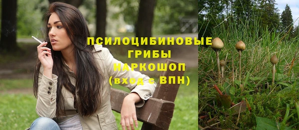 mix Няндома
