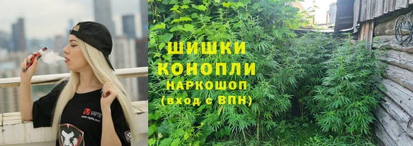 PSILOCYBIN Нягань