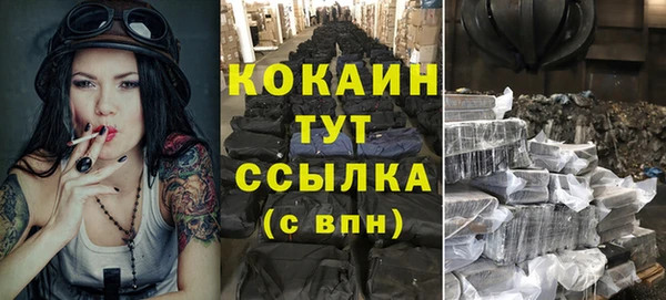 молекула духа Нязепетровск