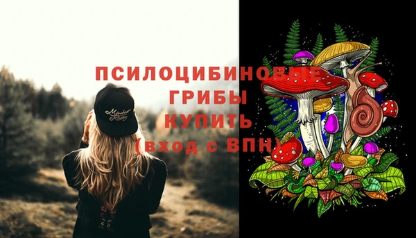 молекула духа Нязепетровск