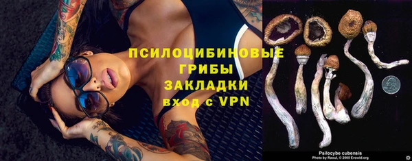 mix Няндома