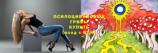 прущий лед Бронницы