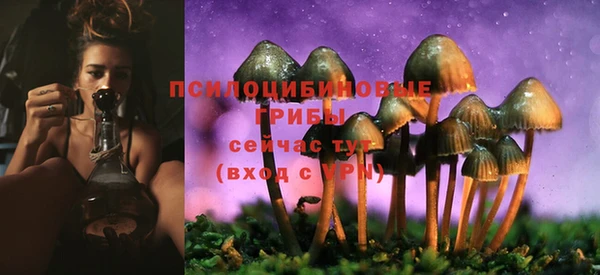PSILOCYBIN Нягань