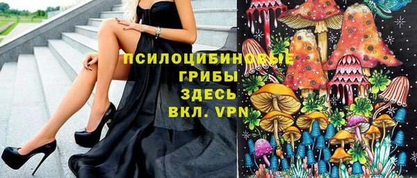 mix Няндома