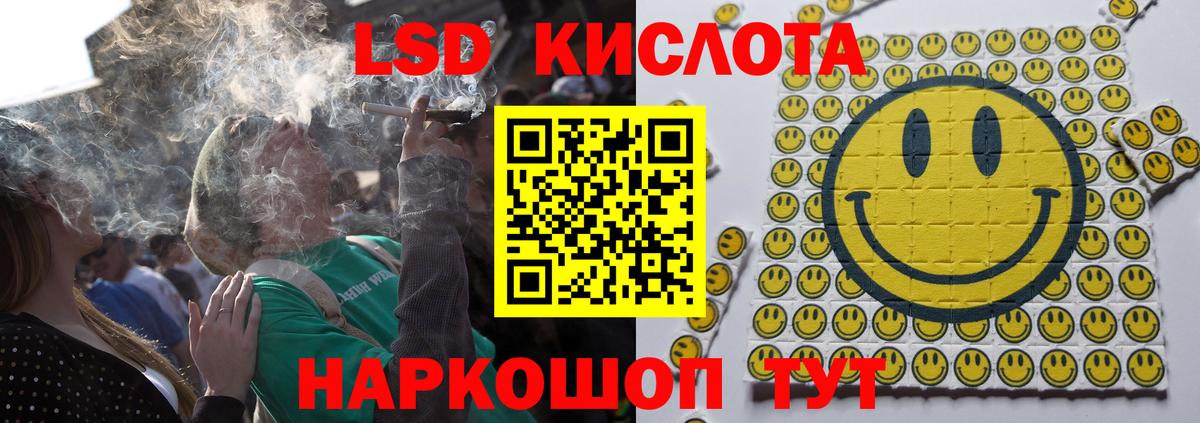 Бошки Шишки Ялта