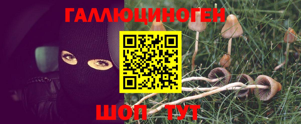 Псилоцибиновые грибы Magic Shrooms  Псилоцибиновые грибы мухоморы  Вход с VPN  Ялта 