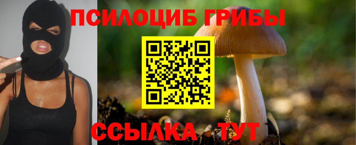 Псилоцибиновые грибы прущие грибы Ялта
